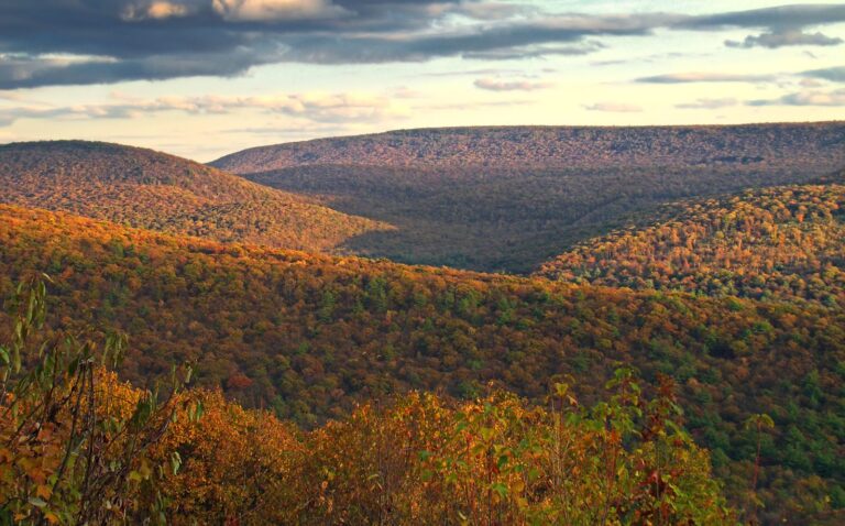 Autumn ridges from Wampler Road Vista toward Standing Stone Creek, Rothrock State Forest