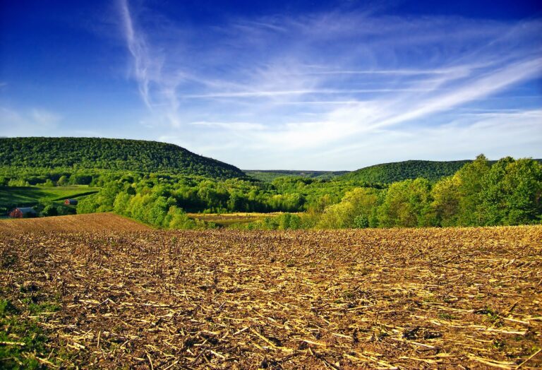 Ridge-and-valley landscape over a harvested field in Barry Township, Schuylkill County