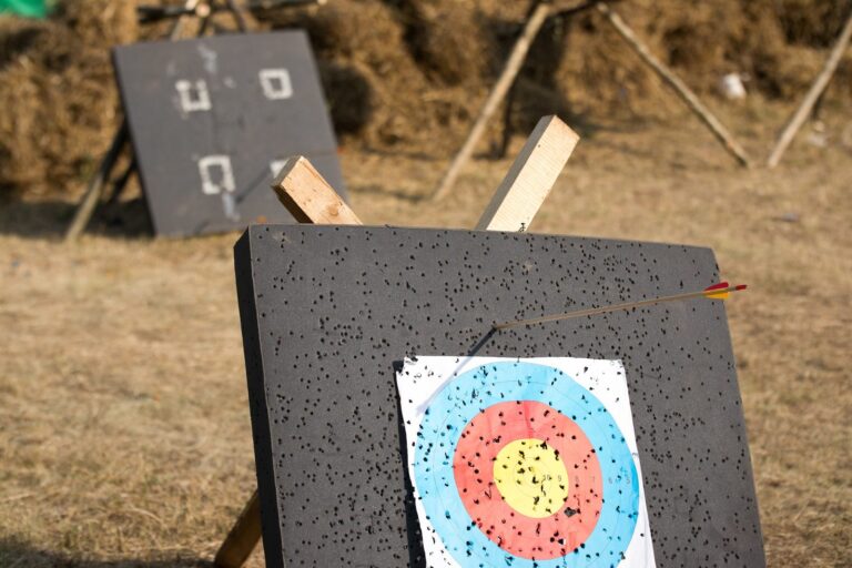 Arrows in a target face on an outdoor archery range