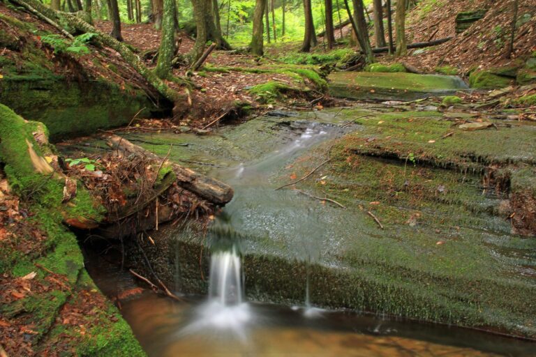 Small cascade on Beech Bottom Run in the Forrest H. Dutlinger Natural Area, Susquehannock State Forest
