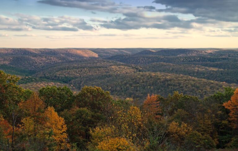 Dissected plateau in autumn from Cherry Springs Vista, Susquehannock State Forest, Potter County
