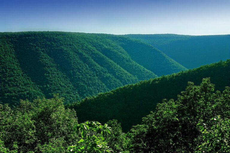 Pine Creek valley from the Bob Webber Trail in the Wolf Run Wild Area, Tiadaghton State Forest