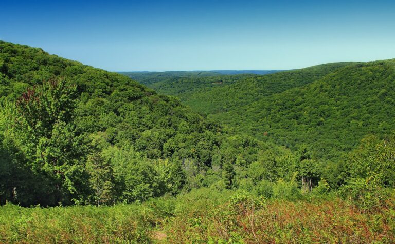 Green plateau ridges seen from Elk Run Vista in Tioga State Forest