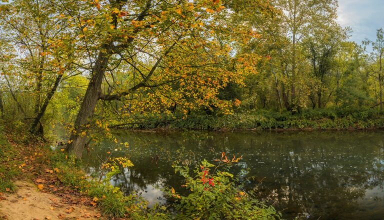 Sewickley Creek under early autumn trees, Westmoreland County
