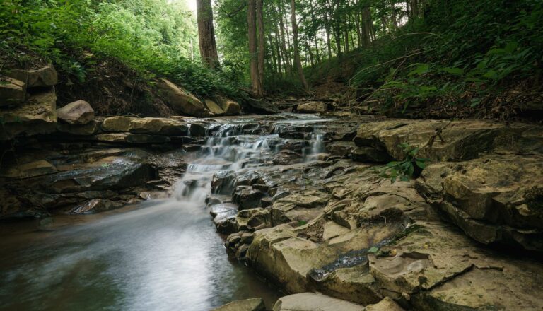Small waterfall over sandstone ledges in a Westmoreland County woodland
