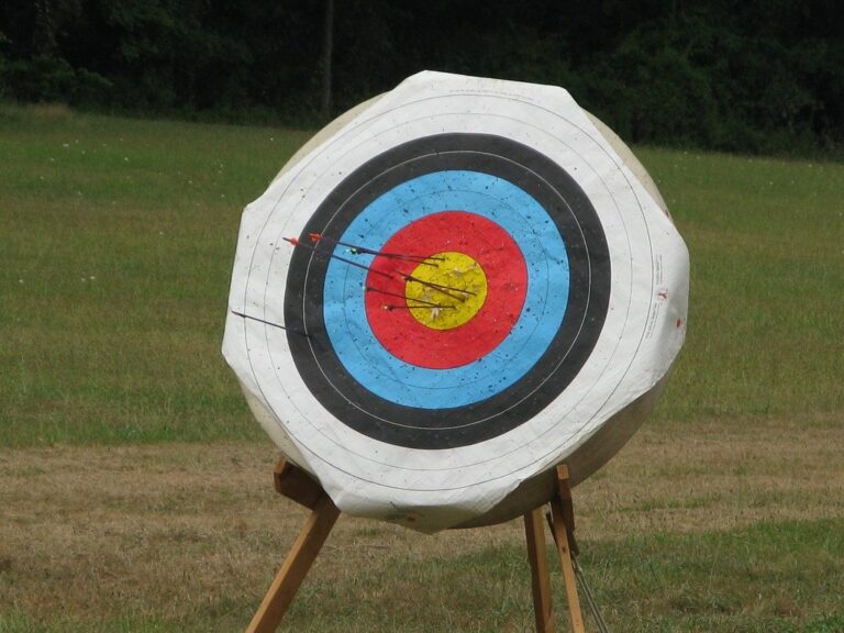 Archery target on a stand in a field