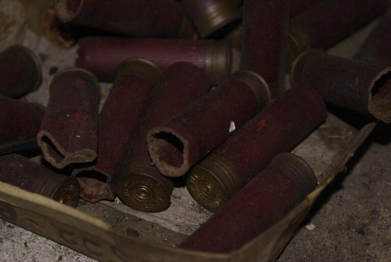 Pile of empty shotgun shells
