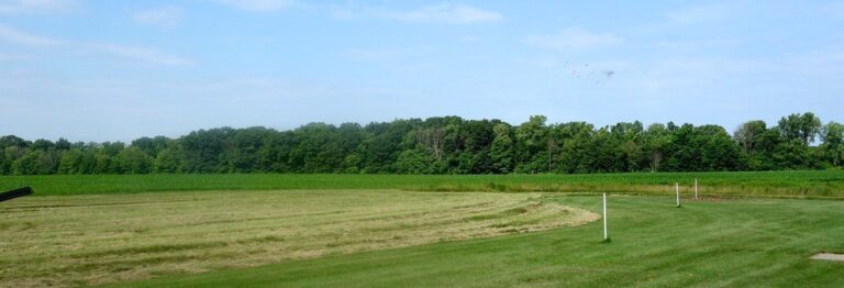 Open grass field at an outdoor shotgun range