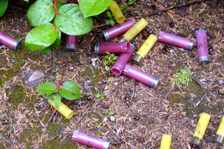 Spent shotgun shells on the ground
