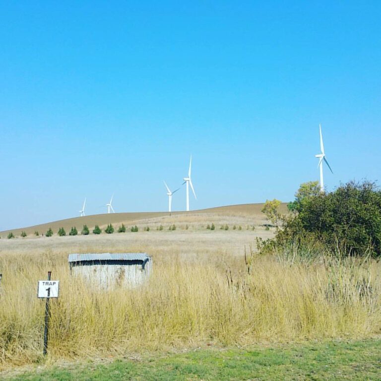 Sporting clays shooting station