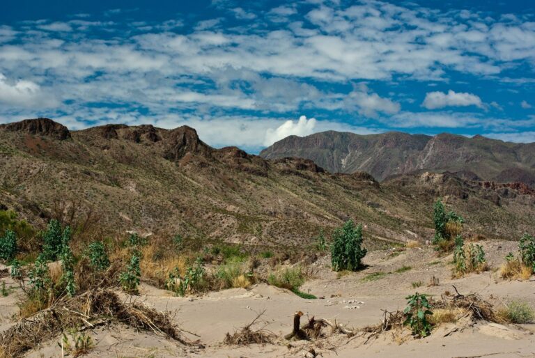 Sand dunes and desert ridges in the Chihuahuan Desert
