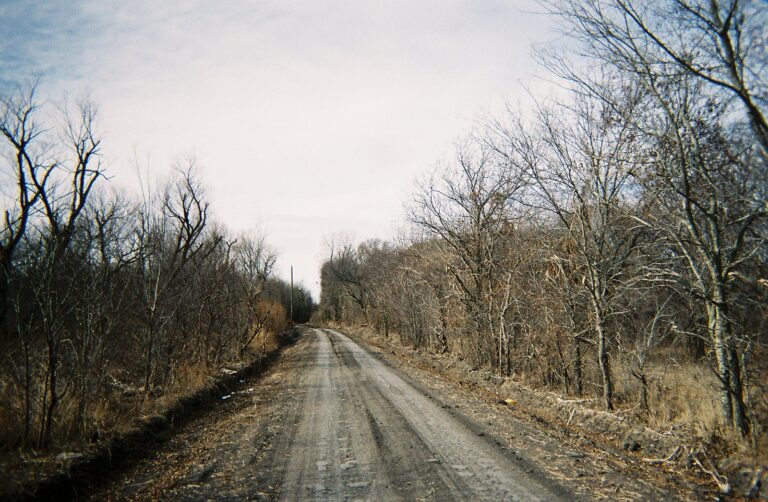Gravel road through post oak woods in North Texas